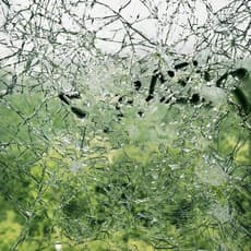 Frank Thiel