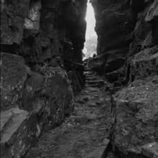 Paul Caponigro