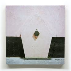 Shane Darwent