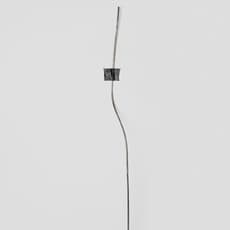 Marta Zgierska