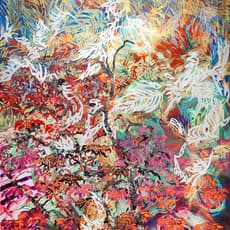 Bob Dilworth