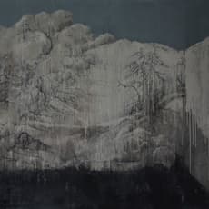 Xu Hong