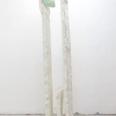 David Benarroch
