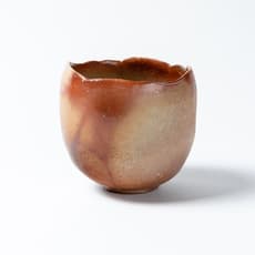 Hiroshi Goseki