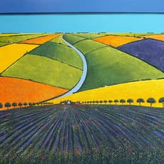 Ronnie Ford
