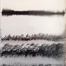 Jose Antonio Choy