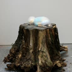 Hirofumi Fujiwara