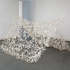 Shelagh Wakely