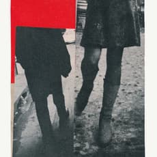 Katrien De Blauwer