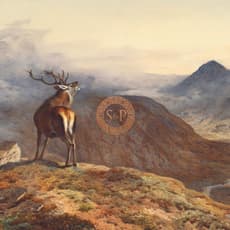 Sir Archibald Thorburn, FSZ