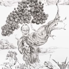 ALI ELMACI