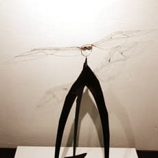Kozo Nishino