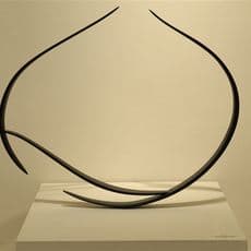 Will Clift