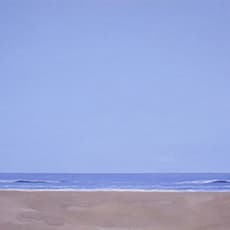 Brian Calvin