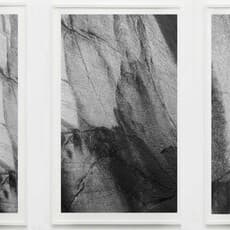 Laure Winants