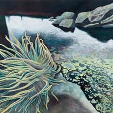 Annemarie Faupel