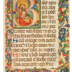 Circle of the Master of 1446
