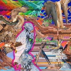 Vincent Langaard