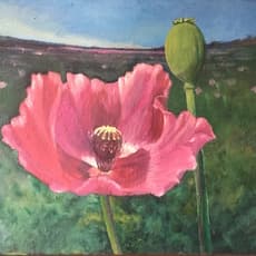 Myint Myint Tin