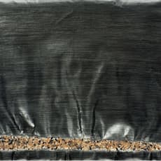 Shi Jin-Hua