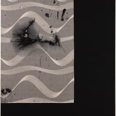 Anna Fro Vodder