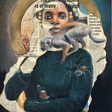 Gift Dlamini