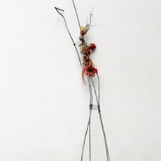 Patricia Belli