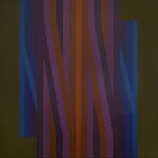 Ary Brizzi