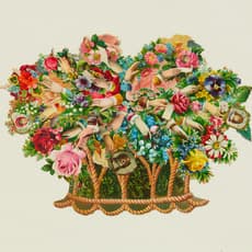 Jihye Park (b. 1983)