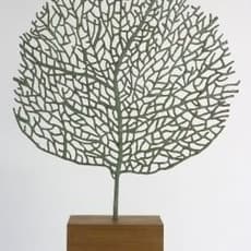 Abigail McLellan