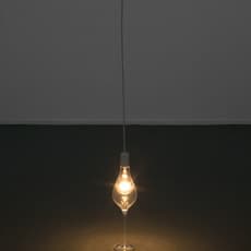 Felipe Cohen