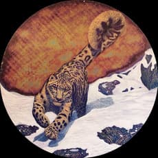 Huang-Yen Lin