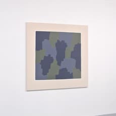 Hugo Pernet