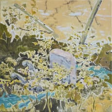 Cheung Tsz Hin