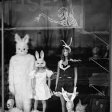 Jason Langer