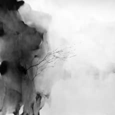 Lynn Lim