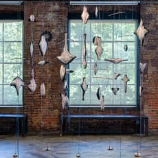 Ruth Jeyaveeran