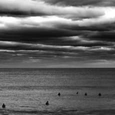 Andrew Blauschild