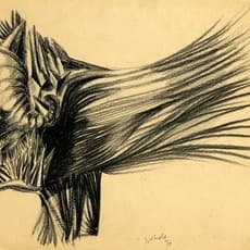 Jacques Herold