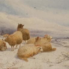 Thomas Sidney Cooper