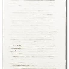Caro Jost