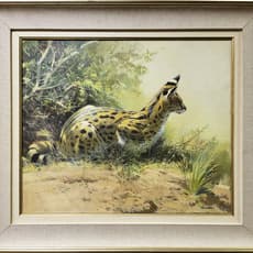 Frank Wootton