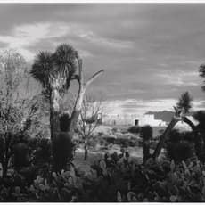 Paul Strand