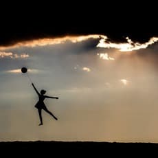 Tyler Shields