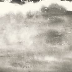 Li Hou
