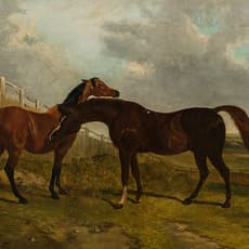 John Frederick Herring Sr