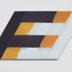 Wilder Alison