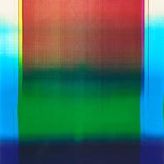 Diane Holland
