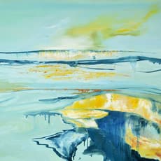 Anne Vandycke