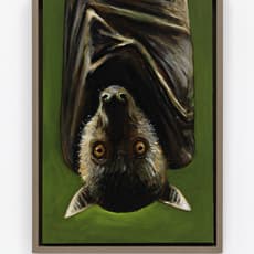Paul Pretzer